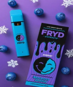 Fryd Disposable Blueberry Zlushie