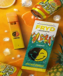 Fryd Disposable Cactus Cooler